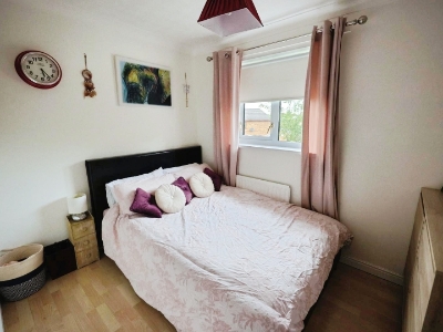 Picture 12